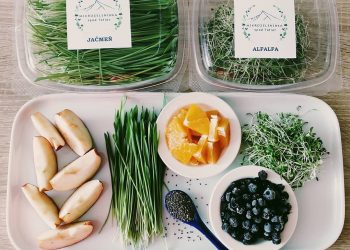 Mikrozeleninka spod Tatier